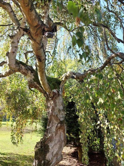 The Squirrels- Alresford, Essex公寓 外观 照片